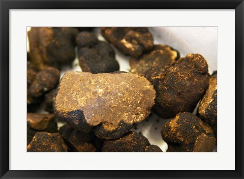 Framed Truffles at La Truffe de Ventoux Truffle Farm Print
