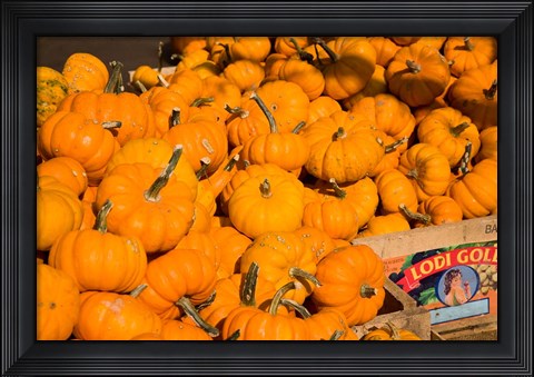 Framed Produce Market, Montreal, Quebec Print