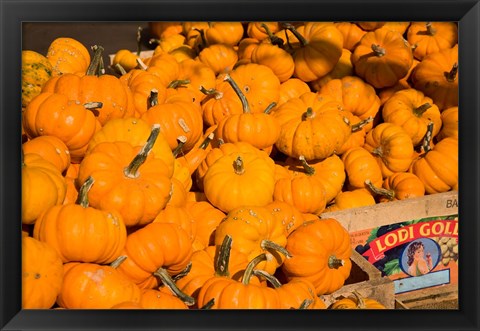 Framed Produce Market, Montreal, Quebec Print
