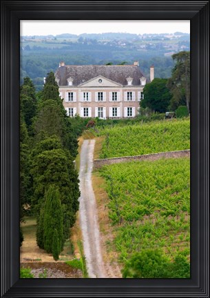 Framed Chateau de la Coulee de Serrant, Loire Valley Print