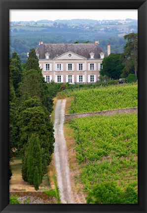 Framed Chateau de la Coulee de Serrant, Loire Valley Print