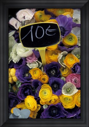 Framed Flower Bunches, Aix En Provence, France Print