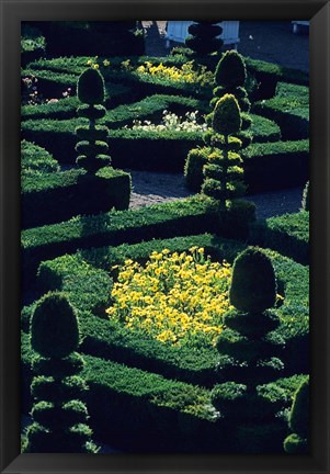 Framed Garden at Villandry Chateau in France Print