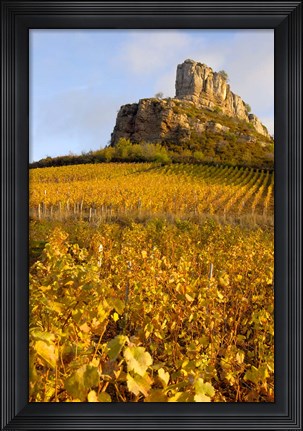 Framed Roche de Solutre above Vineyards, France Print