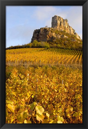 Framed Roche de Solutre above Vineyards, France Print