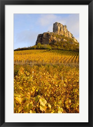 Framed Roche de Solutre above Vineyards, France Print