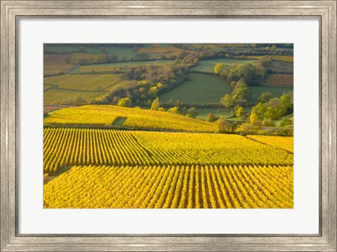 Framed Autumn Morning in Pouilly-Fuiss&#39; Vineyards Print
