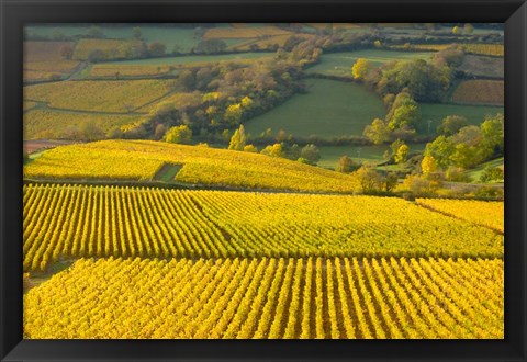 Framed Autumn Morning in Pouilly-Fuiss&#39; Vineyards Print