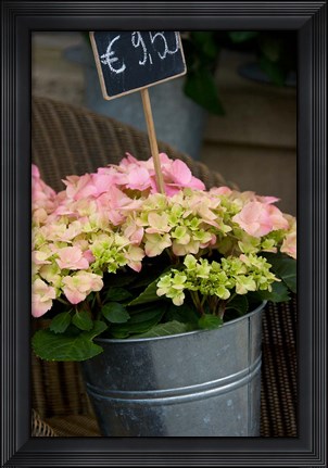 Framed Flowers For Sale Print