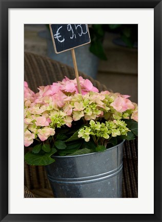 Framed Flowers For Sale Print