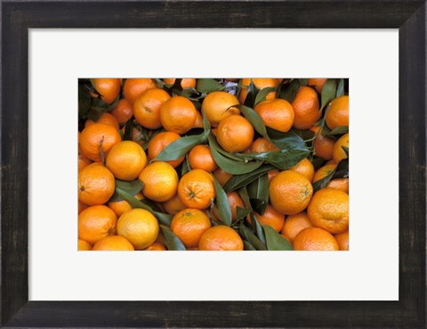 Framed Oranges, Nasch Market, Austria Print