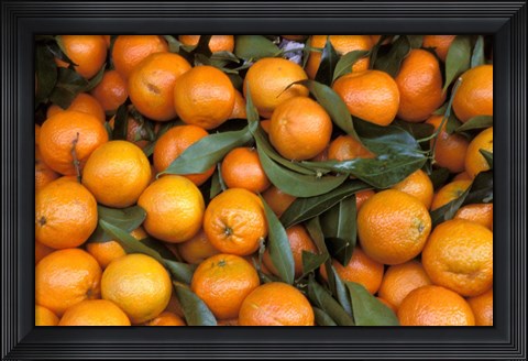 Framed Oranges, Nasch Market, Austria Print