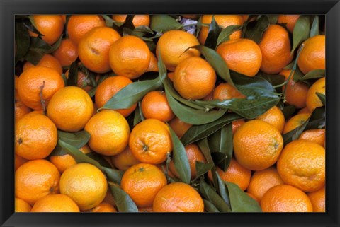 Framed Oranges, Nasch Market, Austria Print