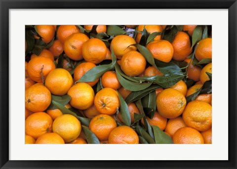 Framed Oranges, Nasch Market, Austria Print