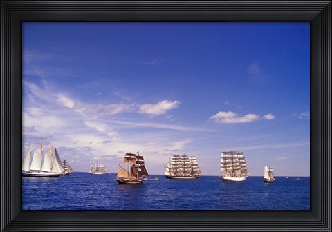 Framed Tall Ships Race in Nova Scotia Print