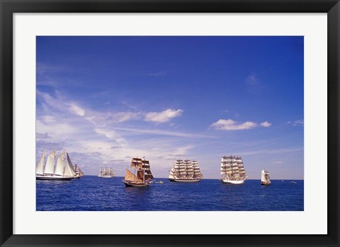 Framed Tall Ships Race in Nova Scotia Print