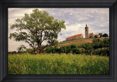 Framed Renaissance Chateau in Melnik Print