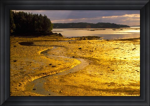 Framed Tide at Sunset on Campobello Island Print