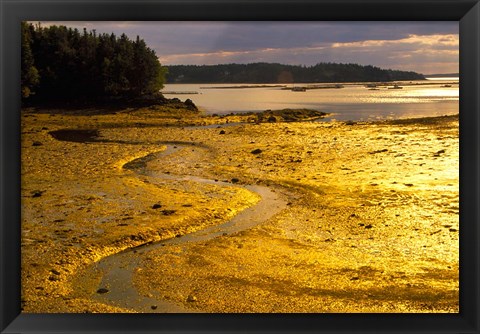 Framed Tide at Sunset on Campobello Island Print