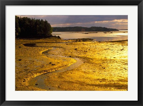 Framed Tide at Sunset on Campobello Island Print