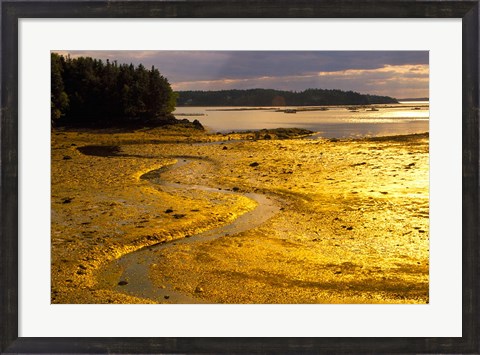 Framed Tide at Sunset on Campobello Island Print