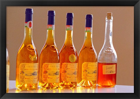 Framed Bottles of Disznoko Winery, Tokaj, Hungary Print