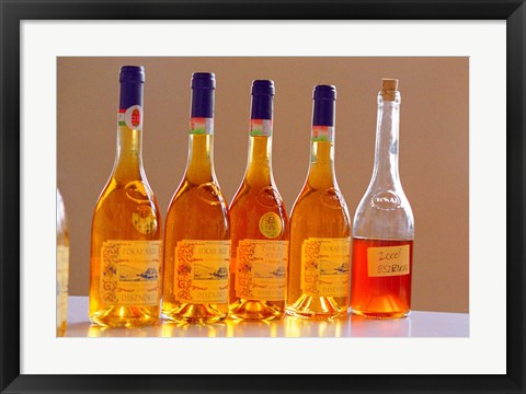 Framed Bottles of Disznoko Winery, Tokaj, Hungary Print