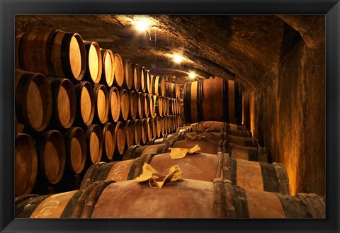 Framed Wooden Barrels with Aging Wine in Cellar Print