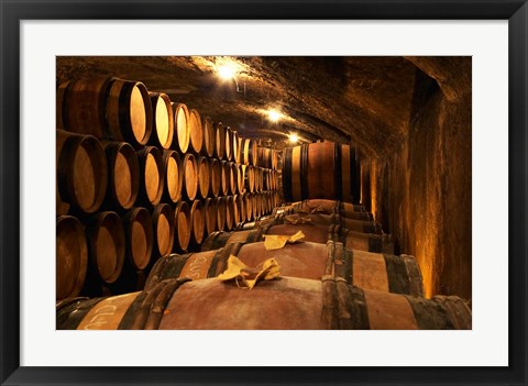 Framed Wooden Barrels with Aging Wine in Cellar Print