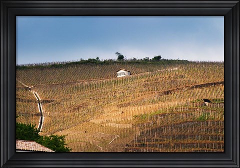 Framed Terraced Vineyards in the Cote Rotie District Print