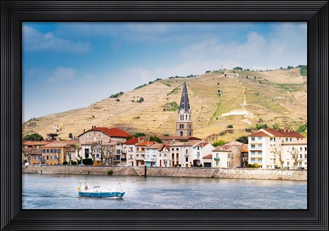 Framed Hermitage Vineyards Print