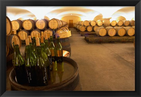 Framed Barrel cellar, Cote d Or, Burgundy, France Print