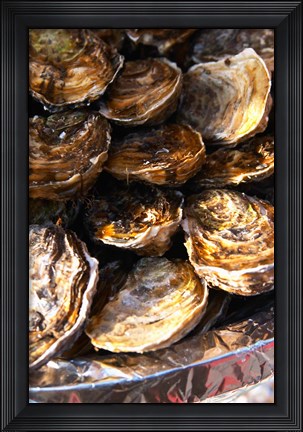 Framed Plate of Oysters, France Print
