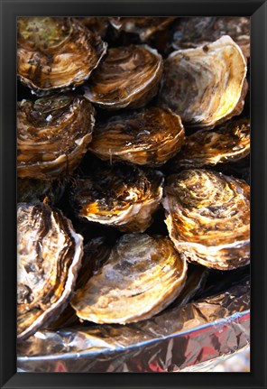 Framed Plate of Oysters, France Print