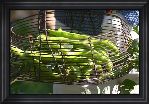 Framed Green Beans in Vegetable Garden Print