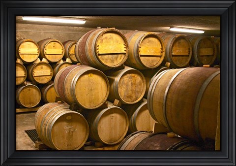 Framed Wine cellar, Alain Voge, France Print
