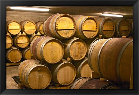 Framed Wine cellar, Alain Voge, France Print