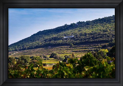 Framed Vacqueyras Vineyards, France Print