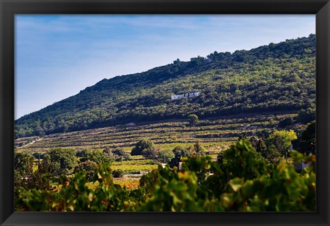 Framed Vacqueyras Vineyards, France Print