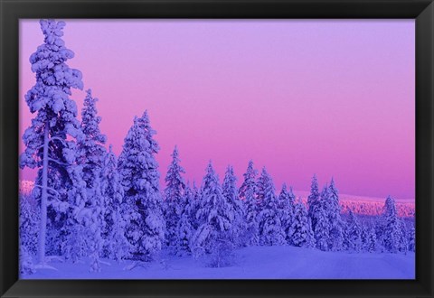 Framed Winter Sunset in Finland Print