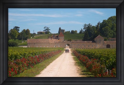 Framed Chateau Grand Mayne and Vineyard Print