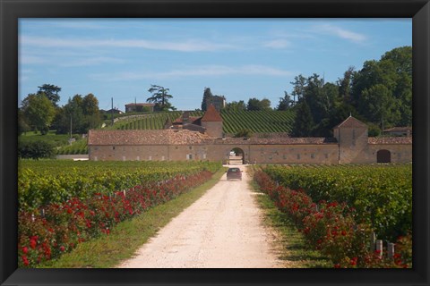 Framed Chateau Grand Mayne and Vineyard Print