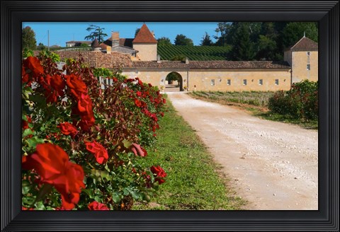 Framed Chateau Grand Mayne Vineyard and Roses Print