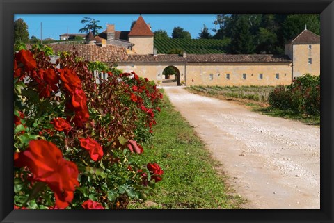 Framed Chateau Grand Mayne Vineyard and Roses Print