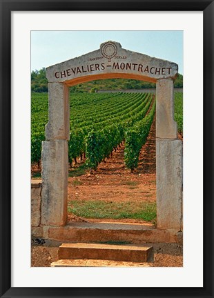 Framed Stone Portico to the Vineyard Chevalier-Montrachet Print