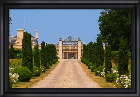 Framed Chateau Haut Sarpe, Saint Emilion, Bordeaux, France Print