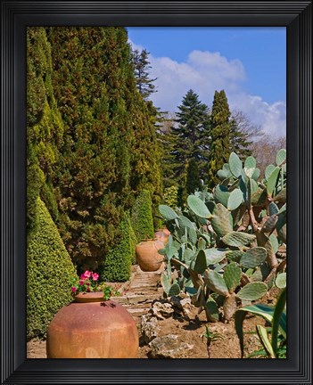 Framed Botanical Garden in Balchik Print