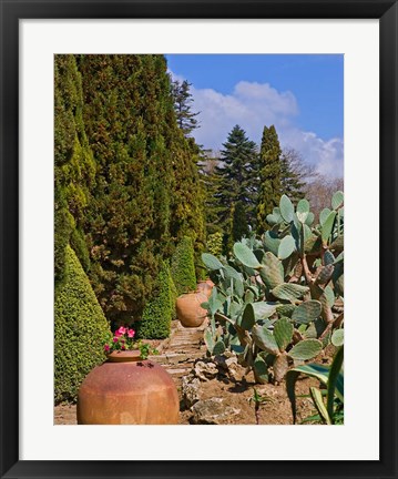 Framed Botanical Garden in Balchik Print