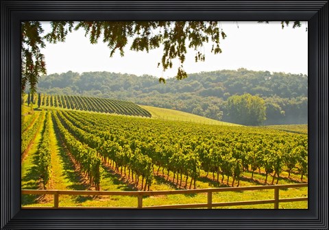 Framed Chateau Carignan, Premieres Cotes de Bordeaux, France Print