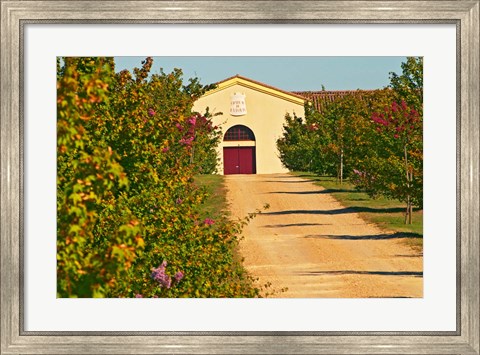 Framed Petit Verdot Vines and Winery Print